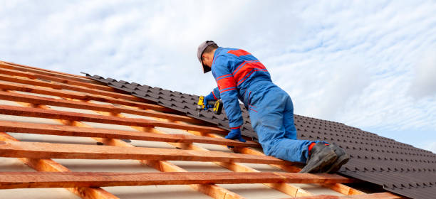 Best Sheet Metal Roofing  in , SD