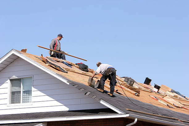 Best Metal Roofing Installation  in , SD